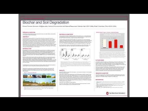 Video presentation: Biochar and Soil Degradation