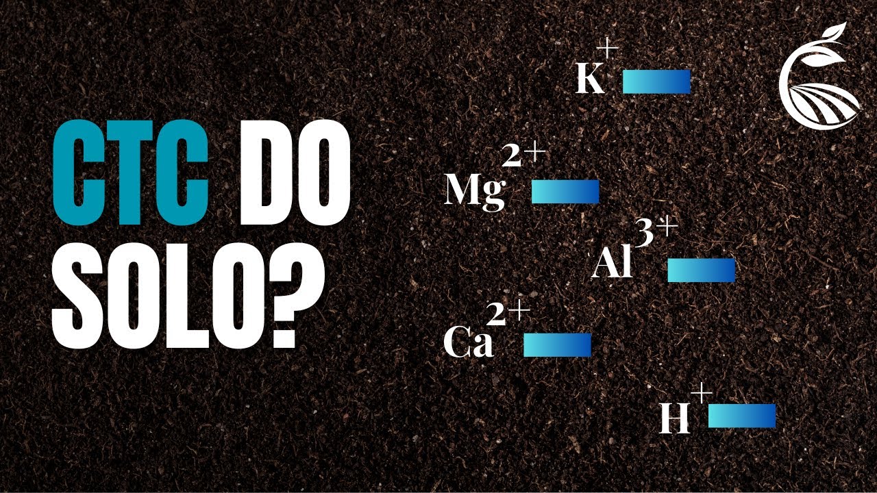 Capacidade de Troca de Cátions | O que é e como calcular?