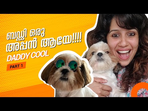 Buddy is a Father!!! | Daddy Cool- Part 1 | Ranjini Haridas Vlogs