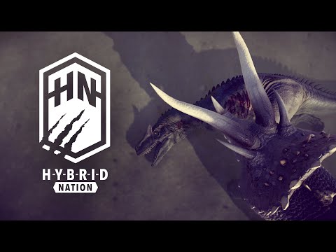 HYBRID NATION - New Park