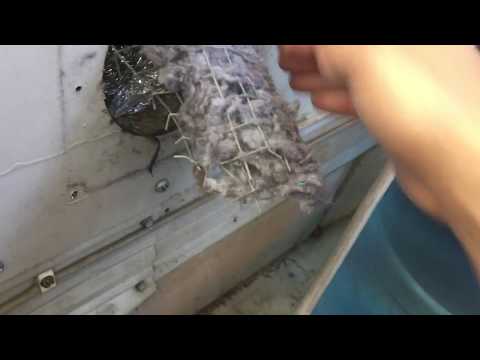 Adulting ( dryer overheating)