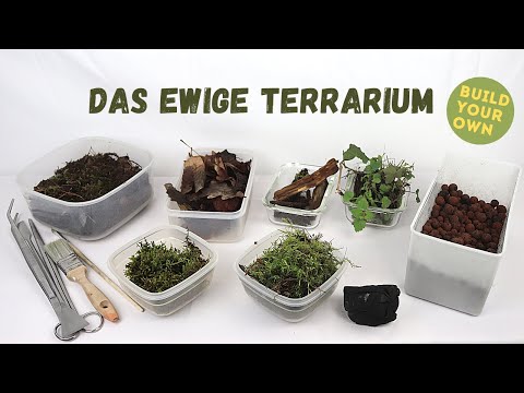 , title : 'Das Ewige Terrarium | Hermetosphäre DIY#1'