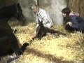 Twins Birth 5 28 1996