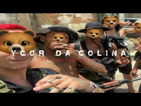 REAL TRAP CV 🐻🚩 MC FJ DA KELSON - EQUIPE TIRIÇA 2K23 (TROPA DO URSO) REMIX MC POZE