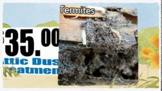preview picture of video 'Termite Treatment Problems in Southlake TX 817-381-2468 Ameritech 76092'