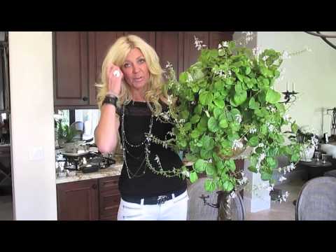 Maria tipsar - Återanvänd gamla krukor