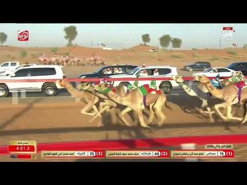 ش 17 (نجود) لـ زايد سالم سعيد الجنيبي 6:16:84 , مهرجان الشيخ محمد بن زايد 2025/12/24 حقايق الذيد