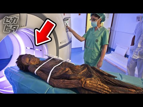 考古学的発見:研究者がモロッコで驚くべき足跡を発見