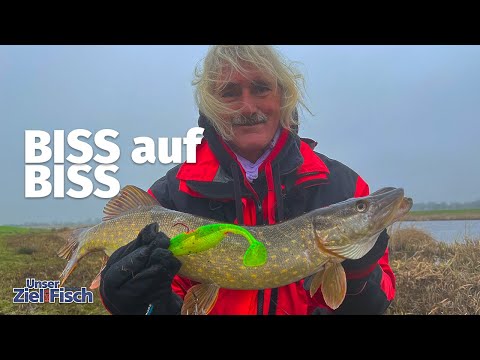 CLEARING before the PIKE CLOSED SEASON - On the river with JÖRG OVENS - Our goal is fish - Fishin...