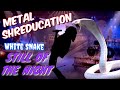Metal Shreducation- White Snake, IN THE STILL OF THE NIGHT