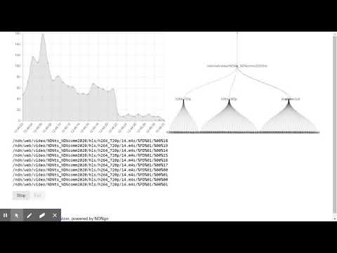 NDN Passive Name Visualizer demo