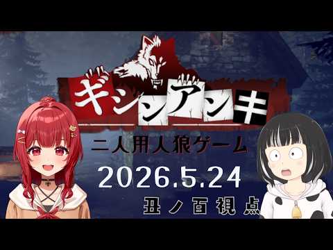 穏やかにべりかちゃんと遊ぶ【ギシンアンキ】丑ノ百視点