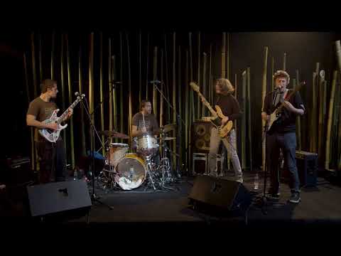 ZELENA OAZA // GREEN OASIS // KAVASUTRA (SLO)