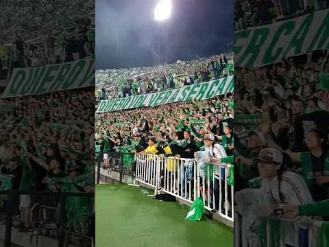 "¡Dejo todo por verte!" Barra: Los del Sur &bull; Club: Atlético Nacional