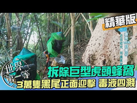 蜂窩