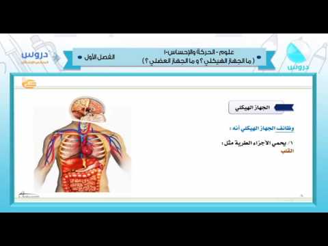 السادس الابتدائي | الفصل الدراسي الأول 1438 | علوم | الحركة والإحساس 1