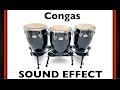 Congas Sample Sound Effect Loops HD
