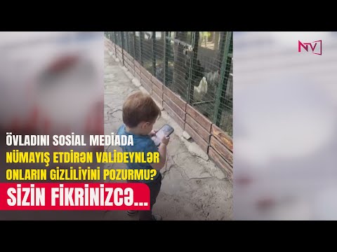 SİZİN FİKRİNİZCƏ...