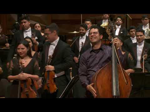 Rolf Martinsson, Doublebass Concerto