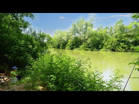 Pescuit pe ape salbatice. Pescuit la undita pe raul Arges