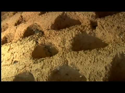 Espacios Naturales: Villafáfila (Parte 2/2)