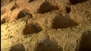 Espacios Naturales: Villafáfila (Parte 2/2)