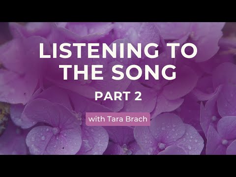 Listening to the Song | Tara Brach on Healing Ourselves and Our World (Part 2)