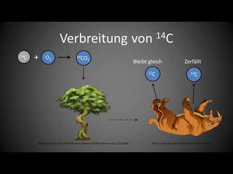 C14-Zerfall Einfach Erklärt