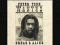 Peter Tosh - Rastafari Is