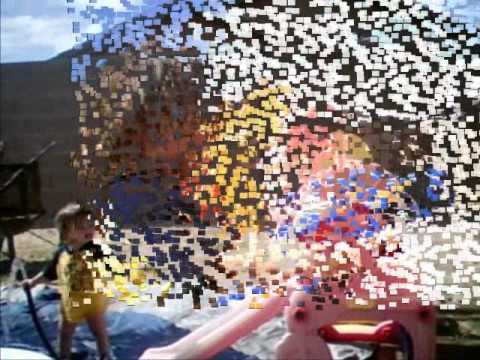 FREE LIKE A BIRD (aj) - LIL POKEY