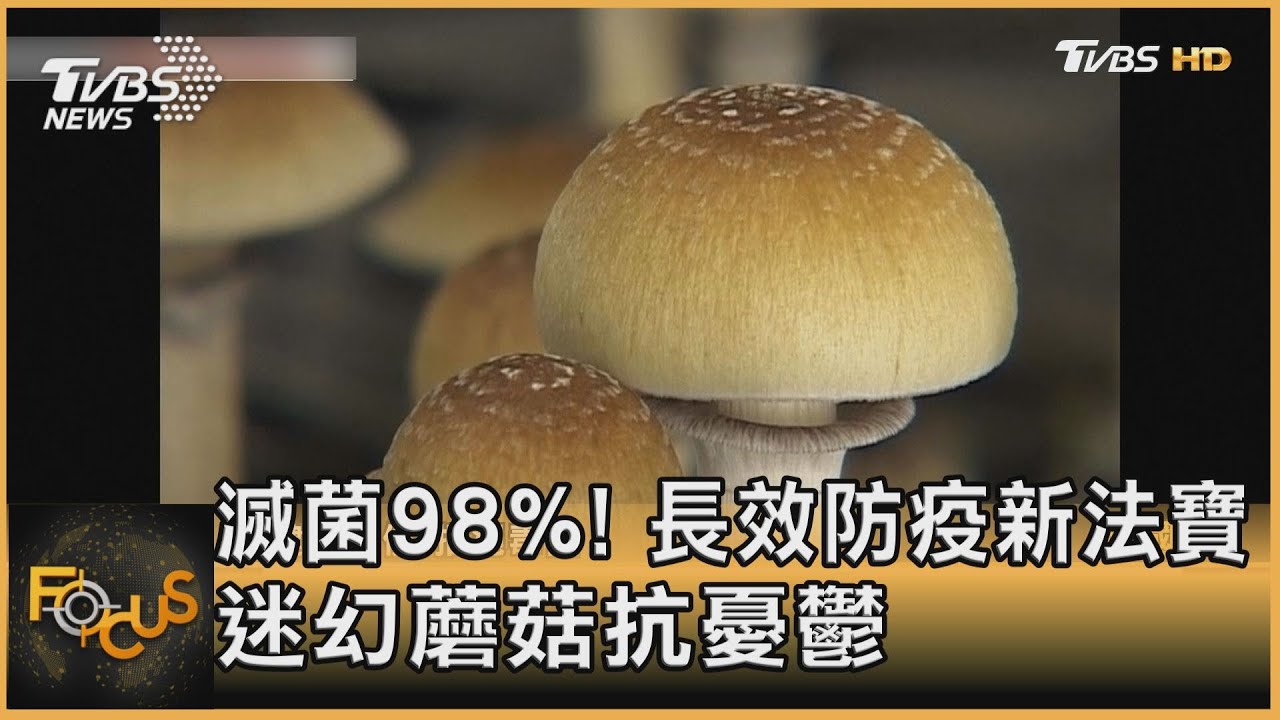 滅菌98%!長效防疫新法寶 迷幻蘑菇抗憂鬱