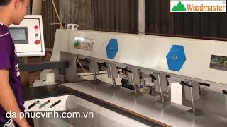 HOLZTEK. MÁY KHOAN CAM CNC ĐỊNH VỊ HỒNG NGOẠI