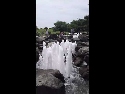 テラスと庭園: プール、噴水、滝をお選びください  庭園