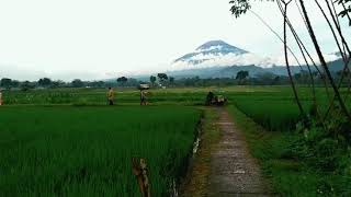 Download lagu Story Wa Damai Bersamamu mp3 Download lagu Story Wa Damai Bersamamu mp3