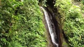 preview picture of video 'Arenal Hanging Bridges Waterfall'