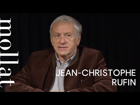 Jean-Christophe Rufin - Les flammes de pierre
