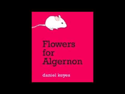 Flowers for Algernon (The Song)