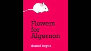 Flowers for Algernon (The Song)