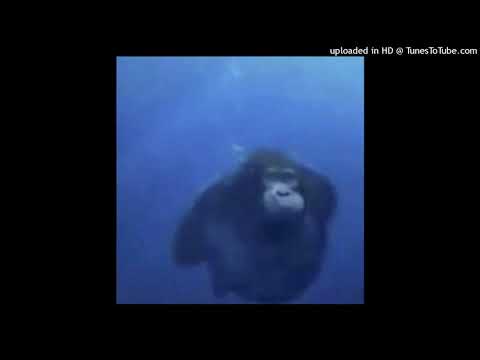 !sold mayot x seemee x shishkin lezzz type beat - king