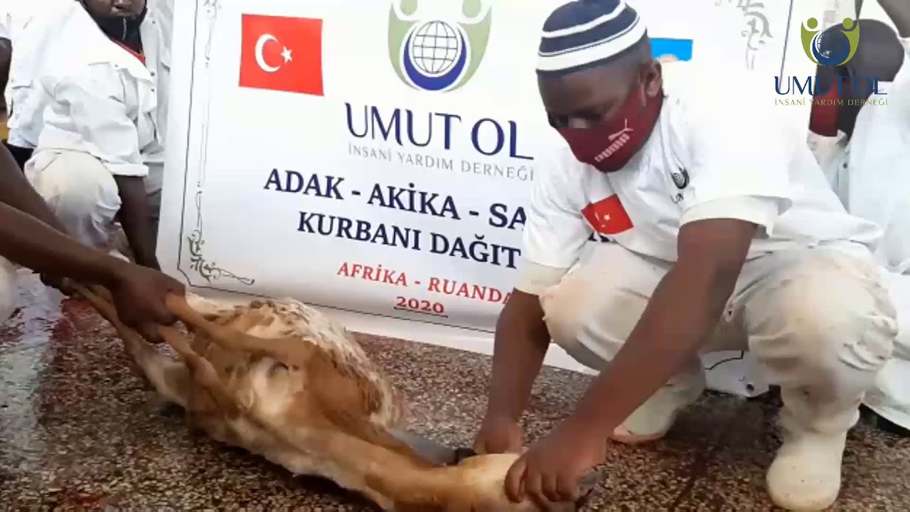 Yoksul Afrika halkına kurban bağışında bulunup destek olun.