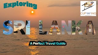 Exploring SRI LANKA: Negombo, Pinnawala Elephant Orphanage & Dambulla - A perfect Travel Guide 2025