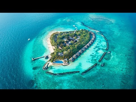Videos del Taj Coral Reef Resort  Spa 5★ en Atolón de Malé Norte, MaldivasVer MásVerPrecios18CerrarConsulta por Whatsapp 🇦🇷BookingTripadvisorExpediaAgodaTravelocityOrbitzPricelineTripSkyscannerDespegarKayakHotelesDestiniaTrivagoAlmundoLastminuteTuiWotif