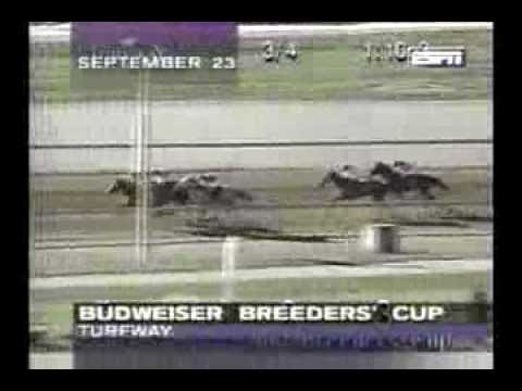 1995 Turfway Park Budweiser BC Stakes - Mariah's Storm