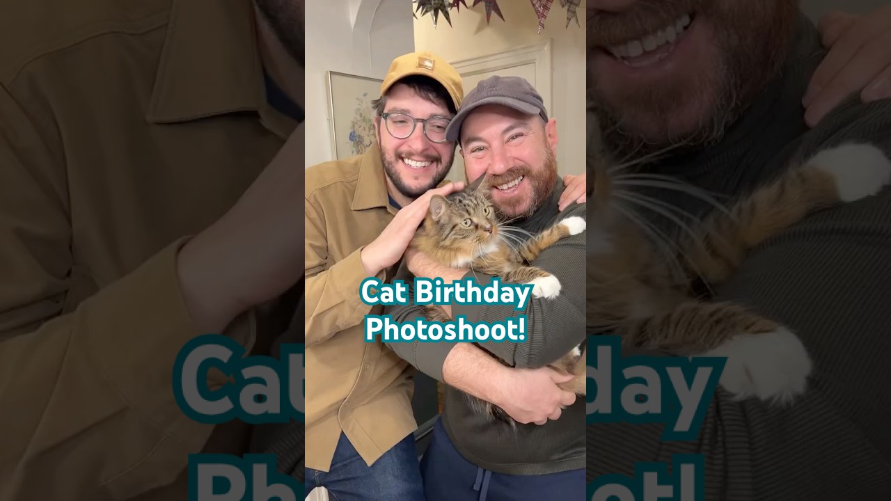 Fotomatón de cumpleaños de gato DIY #gatos #cumpleañosdegato #padredegato