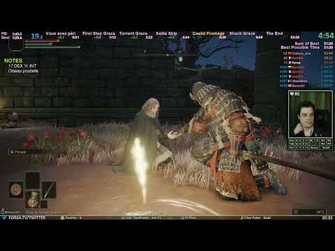 TENTATIVES DE WORLD RECORD 🌟 Any% Glitchless Speedruns