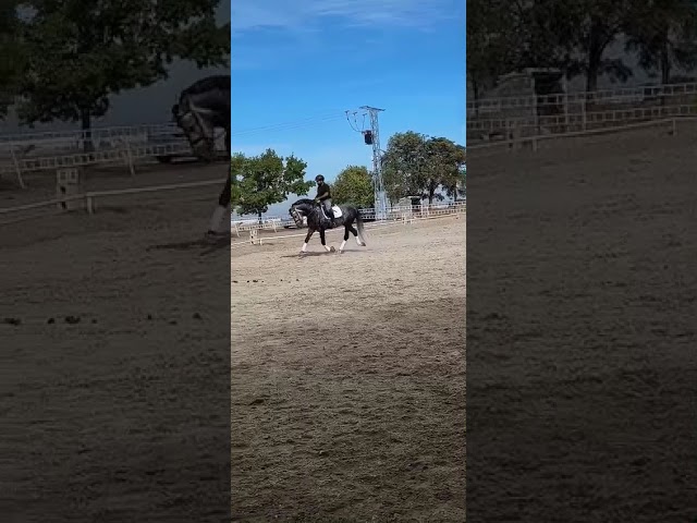 LÍNEA IMPACIENTE II. ALTAS CAPACIDADES ALTA ESCUELA