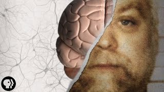 Can Your Memory Make a Murderer?