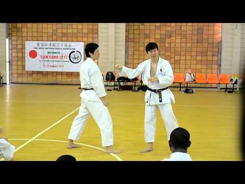 Shotokan Kata : Chinte teach by Naka Tatsuya sensei