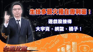 生技多頭火種在專利藥！遊戲股接棒，大宇資、網龍、橘子！ (圖)