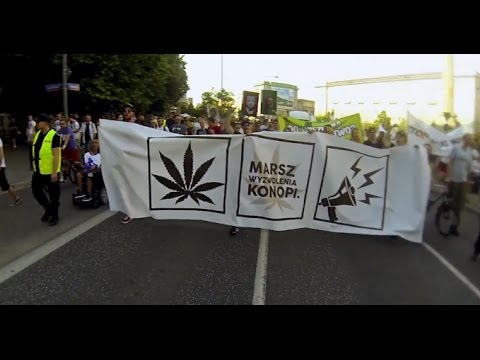 DZIABSON x COMSON - BOJĄ SIĘ TRAWKI (prod. Crashmusic)